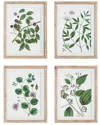 Napa Home & Garden Set Of 4 Verdant Branch Prints