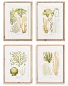 Napa Home & Garden Set Of 4 Verdant Coral Study In Beige
