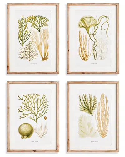 NAPA HOME & GARDEN NAPA HOME & GARDEN SET OF 4 VERDANT CORAL STUDY