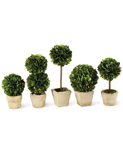 Napa Home & Garden Set Of 5 Mini Topiaries