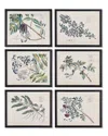 Napa Home & Garden Set Of 6 Berry Branch Botanical Study