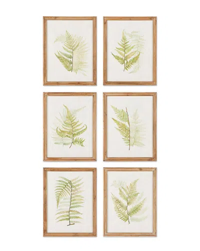 Napa Home & Garden Set Of 6 Fern Study Prints