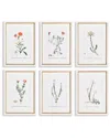 Napa Home & Garden Set Of 6 Flower Studies In Shades Of Blush In Beige