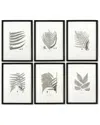 Napa Home & Garden Set Of 6 Framed Grey Toned Fern Prints