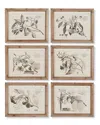 Napa Home & Garden Set Of 6 Fruit Bearing Brnch Illustrtns