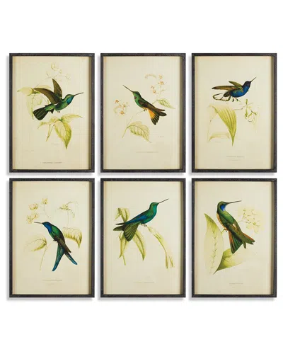 Napa Home & Garden Set Of 6 Hummingbird Prints