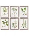 Napa Home & Garden Set Of 6 Shade Garden Study Prints