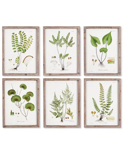 Napa Home & Garden Set Of 6 Shade Garden Study Prints