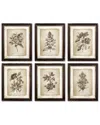 Napa Home & Garden Set Of 6 Vintage Floral Prints
