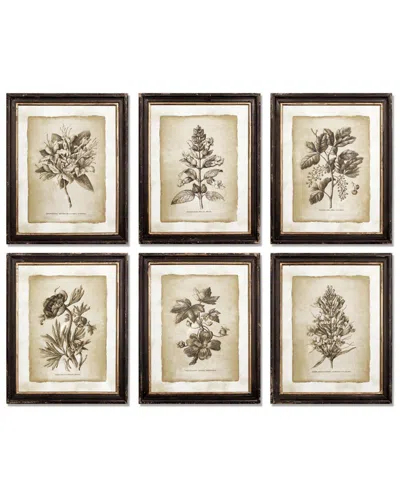 Napa Home & Garden Set Of 6 Vintage Floral Prints