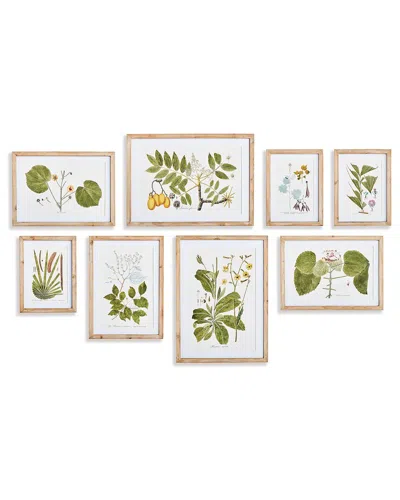 Napa Home & Garden Set Of 8 Flora & Fauna Gallery Prints In Beige