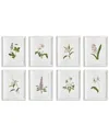 Napa Home & Garden Set Of 8 Flowers In Bloom Petite Prints In Lavender