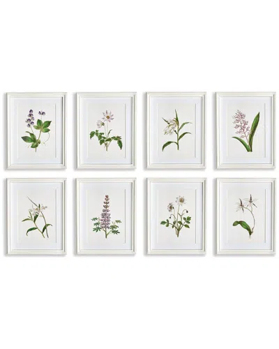Napa Home & Garden Set Of 8 Flowers In Bloom Petite Prints In Lavender