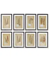 Napa Home & Garden Set Of 8 Framed Vintage Fern Prints