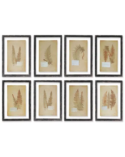 NAPA HOME & GARDEN NAPA HOME & GARDEN SET OF 8 FRAMED VINTAGE FERN PRINTS