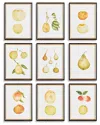 Napa Home & Garden Set Of 9 Assorted Fruits Study In Black