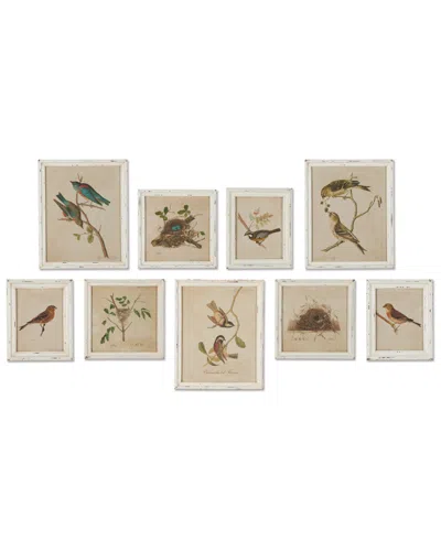 NAPA HOME & GARDEN NAPA HOME & GARDEN SET OF 9 AVIARY BIRD & NEST HABITAT PRINTS