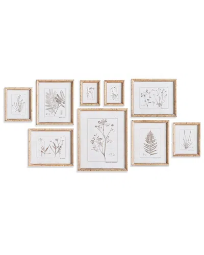 NAPA HOME & GARDEN NAPA HOME & GARDEN SET OF 9 BOTANICAL STUDY IN SEPIA