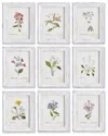 Napa Home & Garden Garden Meadow Study Set Of 9