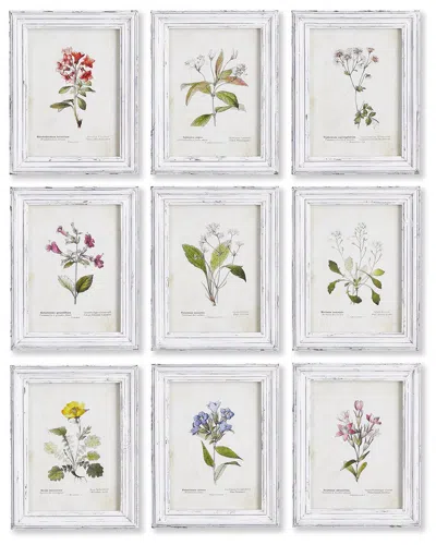 Napa Home & Garden Set Of 9 Garden Meadow Study Prints
