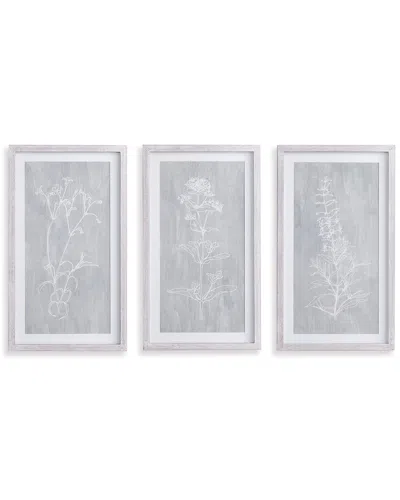 Napa Home & Garden Sketched Botanical Prints, Set Of 3 In Grey