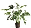 Napa Home & Garden Split Leaf Selloum Drop-in 22.5"