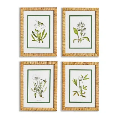 Napa Home & Garden White Floral Flowers Decorative Study Framed Wall Art Prints Frame, Set Of 4 In Green