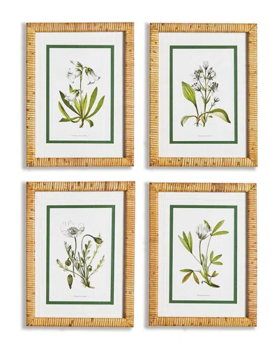 Napa Home & Garden White Floral Study, Set Of 4 In Green
