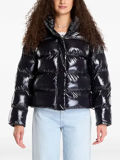 Napapijri Hooded Padded Jacket In Black