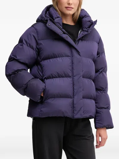 Napapijri Gefütterte Kapuzenjacke In Blue