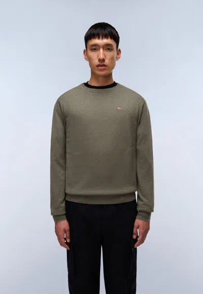 Napapijri Shirts Man  Damavand C 4 Np0a4gju G0a1 Tea Leaf In Green