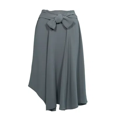 Narvan Women's Grey Rojeen Skirt - Charcoal In Gray