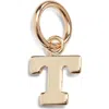 Nashelle Initial Charm In Gold Fill - T