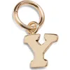 Nashelle Initial Charm In Gold Fill - Y