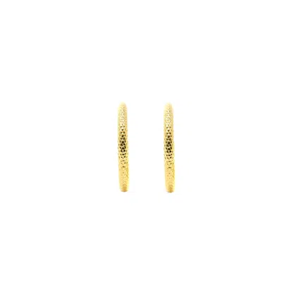 Nasi Silver Women's Fish Scale Huggie Hoops- Gold