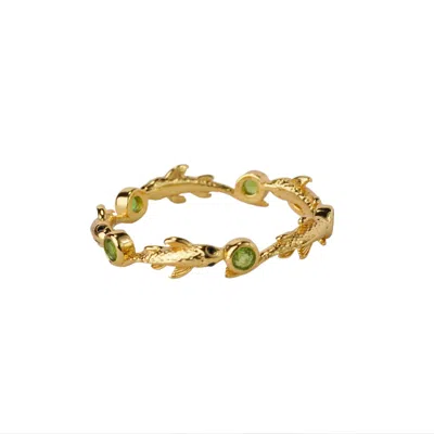 Nasi Silver Women's Green / Gold Eternity Neshama Fish Band- Chrome Diopside, Gold In Multi