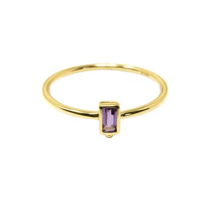 Nasi Silver Women's Level Ring- Amethyst- Gold In Purple