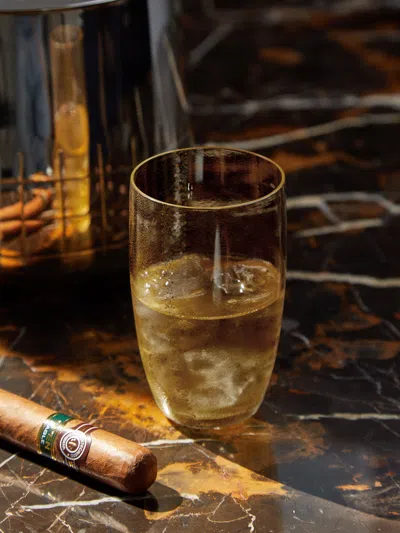 Nasonmoretti Aliseo Hand-blown Murano Glass Tumbler  Abask Luxury Gift