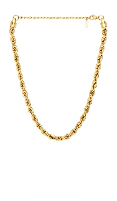 Natalie B Jewelry Donatella Rope Chain Necklace In Gold