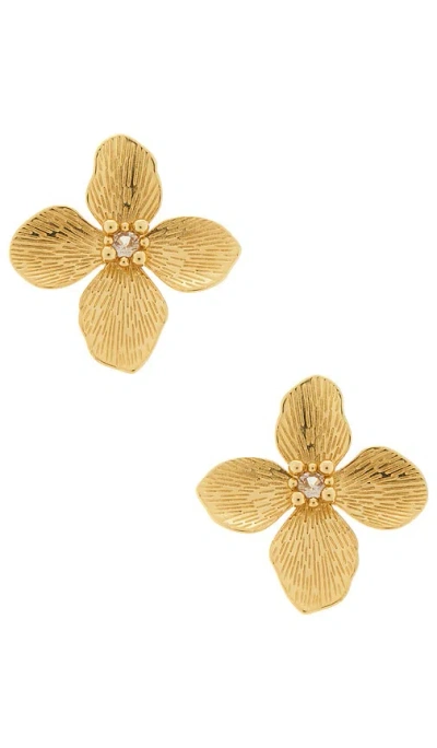 Natalie B Jewelry Flora Stud Earring In Gold