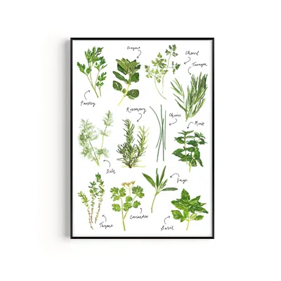 Natalie Cass Art Green / Neutrals Herb Hand Painted Art Print  -  A3