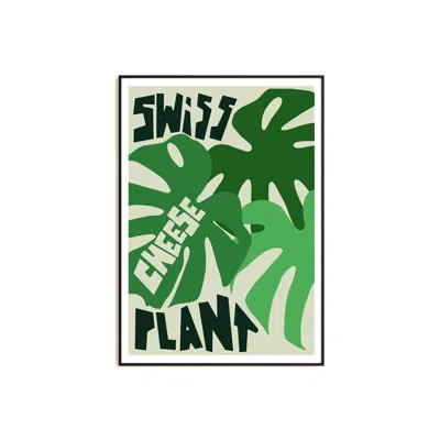 Natalie Cass Art Green Swiss Cheese Plant Art Print - A3