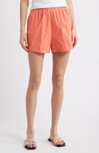 Nation Ltd Flynn Pima Cotton Poplin Shorts In Coral Kiss