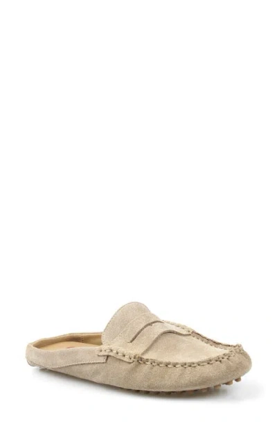 National Comfort Hawlie Flat Leather Mule In Multi