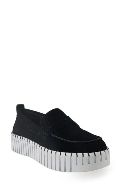 National Comfort Makota Suede Loafer In Black Suede