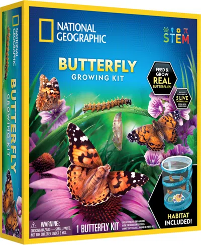 National Geographic Butterfly Growing Kit In Multi-color