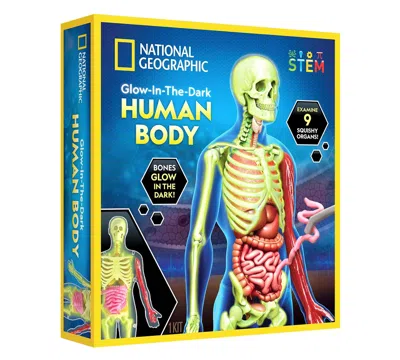 National Geographic Glow-in-the-dark Human Body In Multi