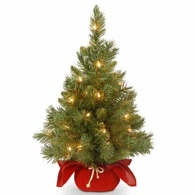 National Tree Co . 2 Foot Majestic Fir Pre-lit Christmas Tree In Green