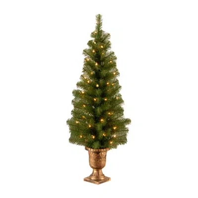 National Tree Co . 4 Foot Pre-lit Spruce Christmas Tree In Green