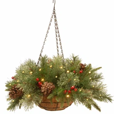 National Tree Co . Colonial Feel Real Christmas Hanging Basket In Green